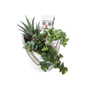 Arr.   Kamerplant Groen L%