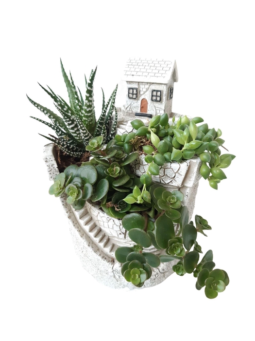 <h4>Arr.   Kamerplant Groen L%</h4>