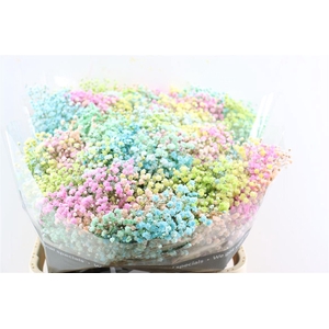 Gyps Pa. Rainbow Pastel