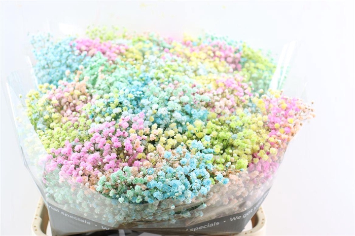 <h4>Gyps Pa. Rainbow Pastel</h4>
