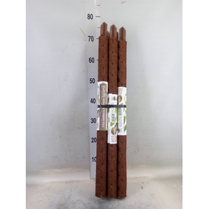 Decoratie  ..Klimstok composteer H%