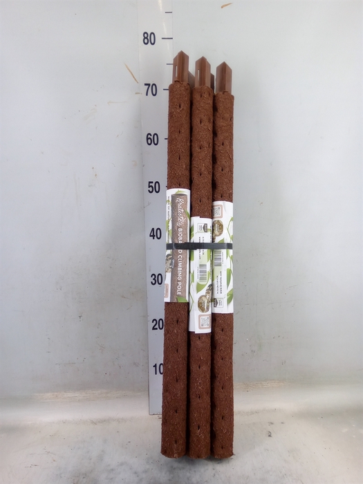 <h4>Decoratie  ..Klimstok composteer H%</h4>