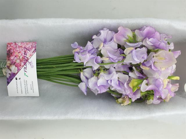 Lathyrus Lavendel Wedding