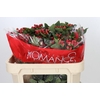 Hypericum True Romance Spray