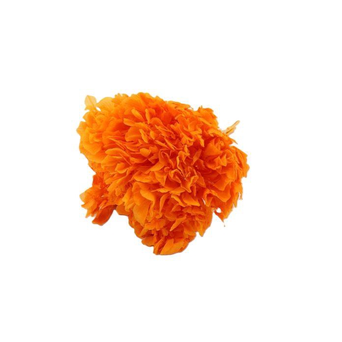 <h4>Bunch Hydrangea Pres.</h4>