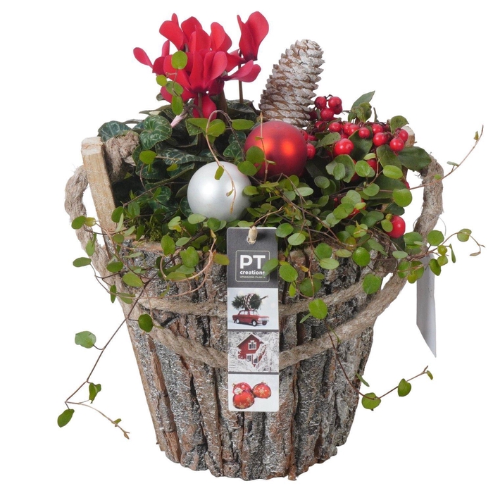 <h4>Arr.   Tuinplanten L%</h4>