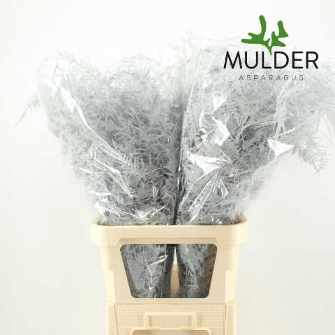 <h4>Asp Klb H% L. Getopt White</h4>