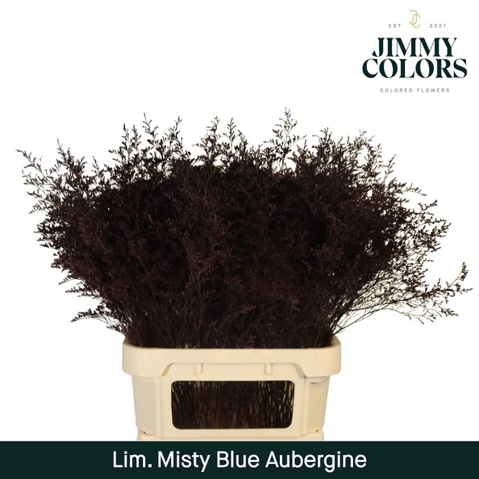 <h4>Lim Misty Blue L90 Aubergine</h4>