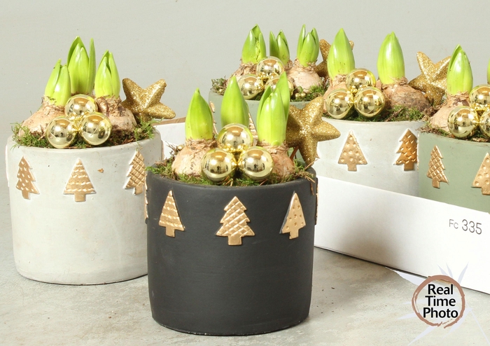 <h4>ARR KAMERPL</h4>