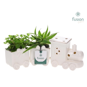 Keramiek Trein Medium met Groenen planten