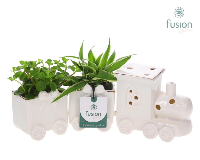 <h4>Keramiek Trein Medium met Groenen planten</h4>
