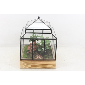arr3 WR - Terrarium Wardian case one