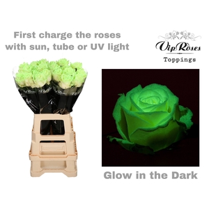 R GR GLOW IN THE DARK x 20