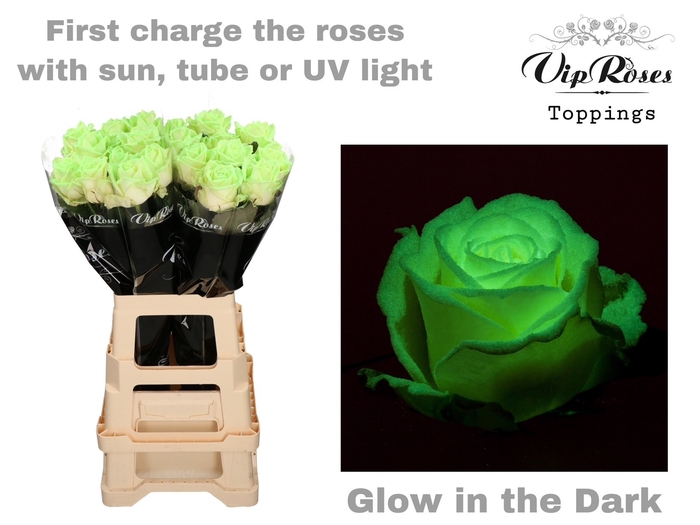 <h4>R GR GLOW IN THE DARK x 20</h4>