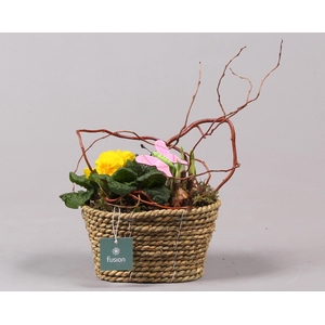 Mand zeegras ovaal Voorjaar met Arrangement