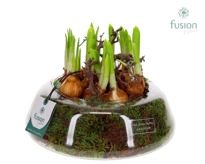 <h4>Green Bottle Christel Large met Narcissus</h4>