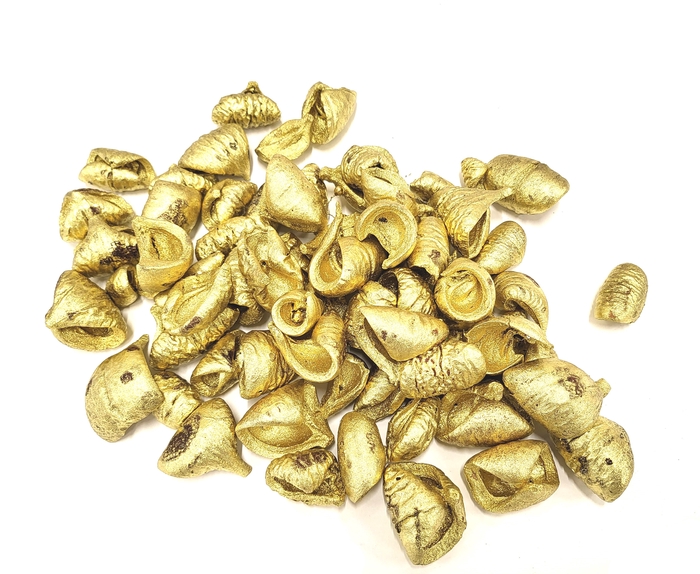 Lansunia petal 500gr in poly Gold