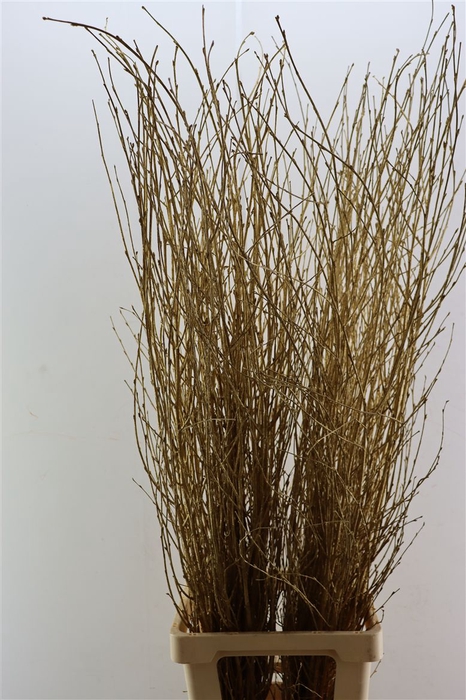 <h4>Berk Lang Gl Antiek Goud Pbs</h4>