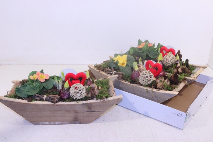 <h4>ARR TUINPLANTEN</h4>