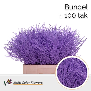 Heidelbeer (Bundel) Milka