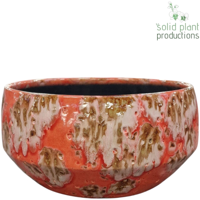 <h4>X C109 SOPHIA FESTIVAL PINK LARGE</h4>