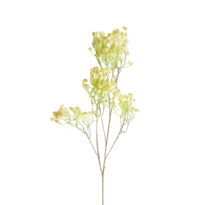 <h4>Artificial flowers Gypsophilia 85cm</h4>