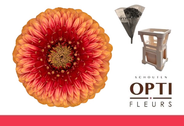 <h4>GE MB POM BEAKER-Water hoes</h4>