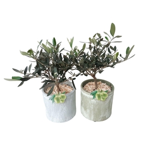 Arr.   Tuinplanten H%