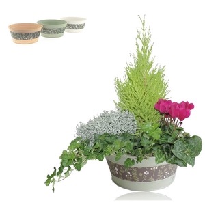 Collectie Florentina Arrangement in Zinken Schaal 21 cm