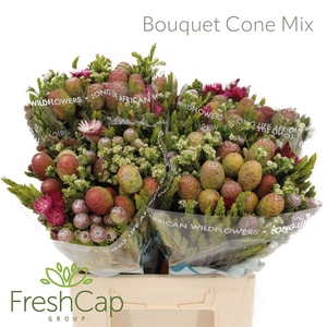 Bouquet Cone Mix