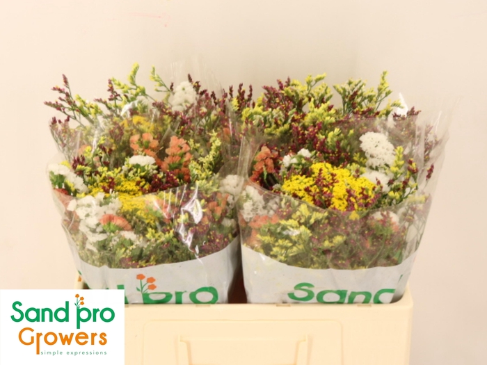 <h4>GEM ZOMERBOEKET</h4>