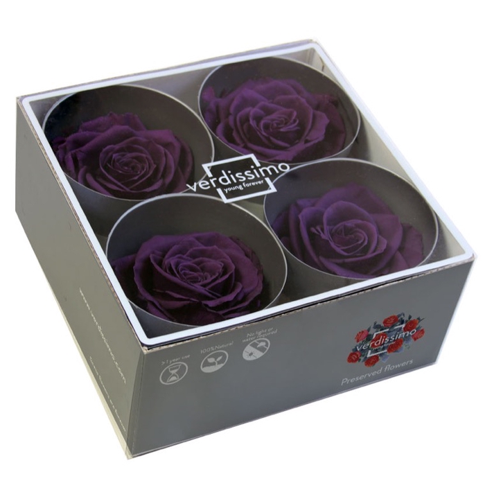 <h4>Roos premium paars</h4>