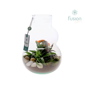 Green Bottle Olaf Medium met Pasen arrangement
