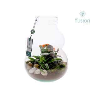 Green Bottle Olaf Medium met Pasen arrangement