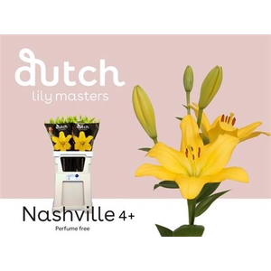 Li La Nashville