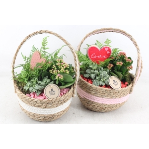 arr2 PL - Stof hengselmand 285/5 - roze/rood