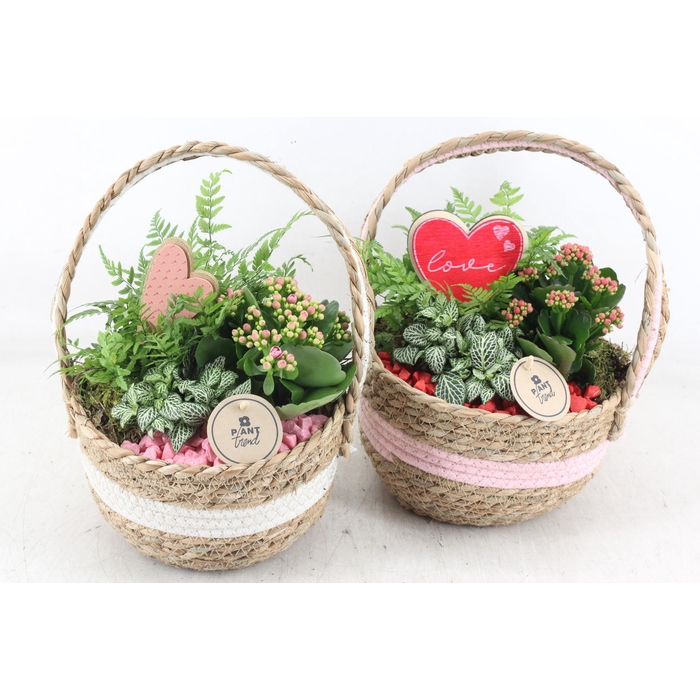 <h4>Arr2 Pl - Stof Hengselmand 285/5 - Roze/rood</h4>