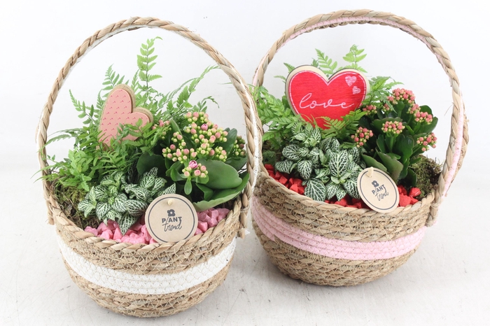 <h4>arr2 PL - Stof hengselmand 285/5 - roze/rood</h4>