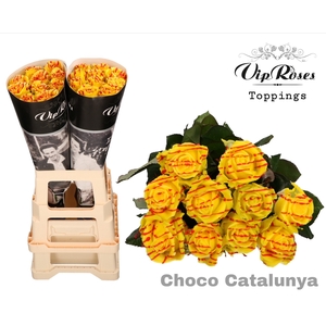 R GR CHOCO CATALUNYA x 20