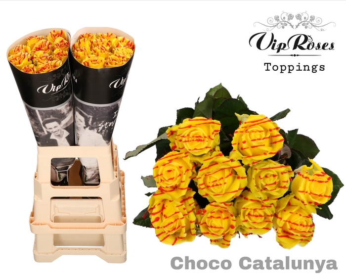 <h4>R Gr Choco Catalunya</h4>