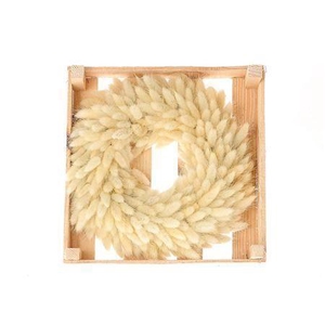 Wr Lagurus Bleached D30