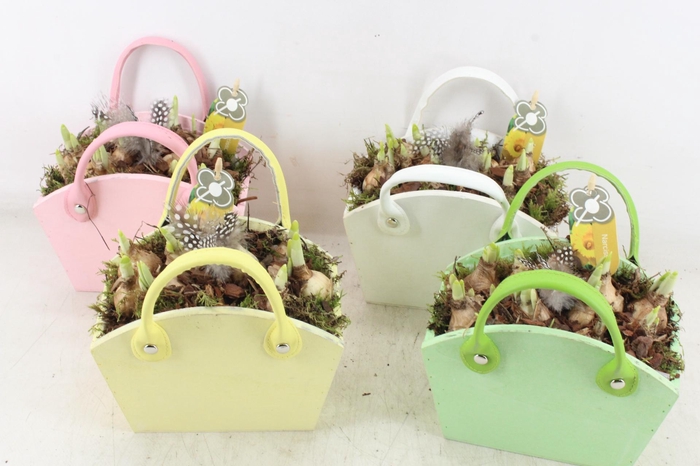 <h4>arr4 Narcis PL - Hout tas colour mix</h4>