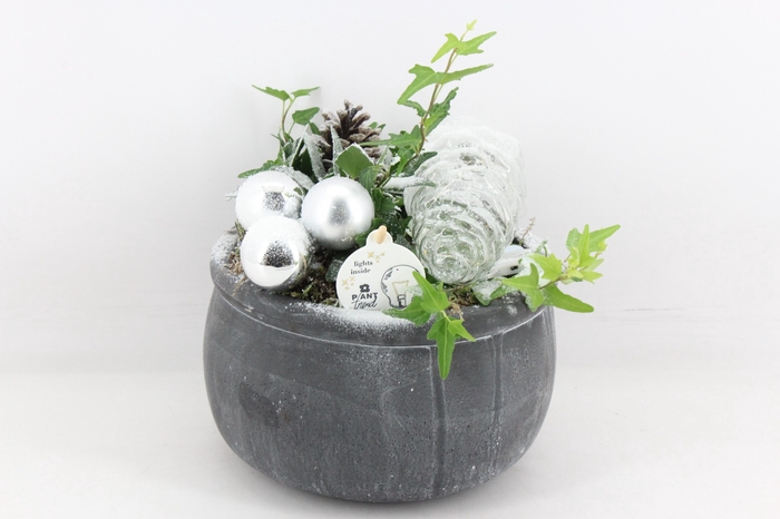 arr2 PL - Bolpot black zilver Den.