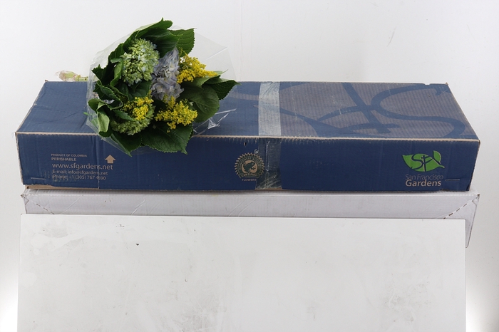 <h4>Hydr Bouquet</h4>