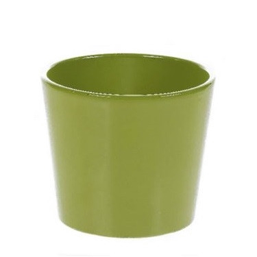 <h4>Ceramics Phalaenopsispot d13.5*12.5cm</h4>