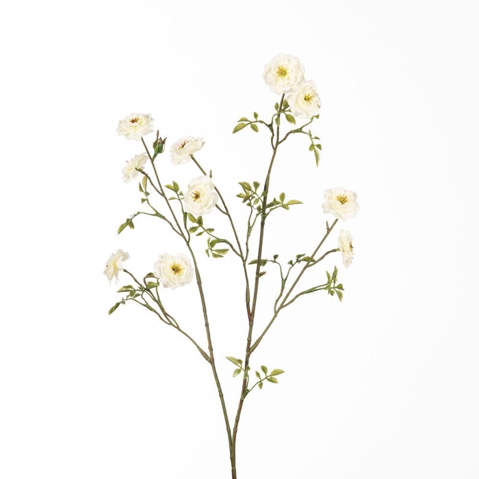 <h4>AF Rosa Wild L87cm Cream</h4>