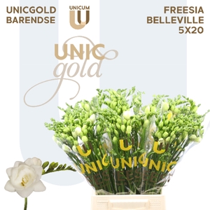UG Barendse - Belleville 5x20