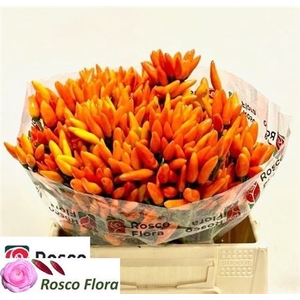 Cap Orange Fire