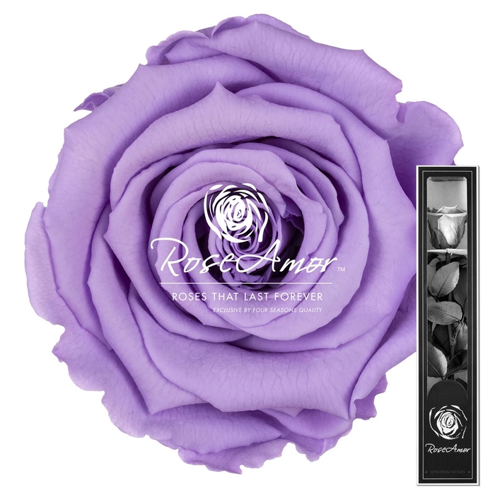 <h4>30cm Stem Vio03</h4>