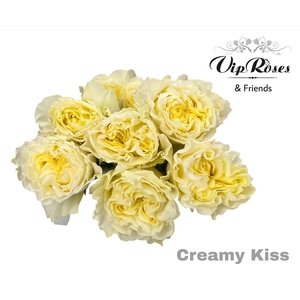 R GR CREAMY KISS